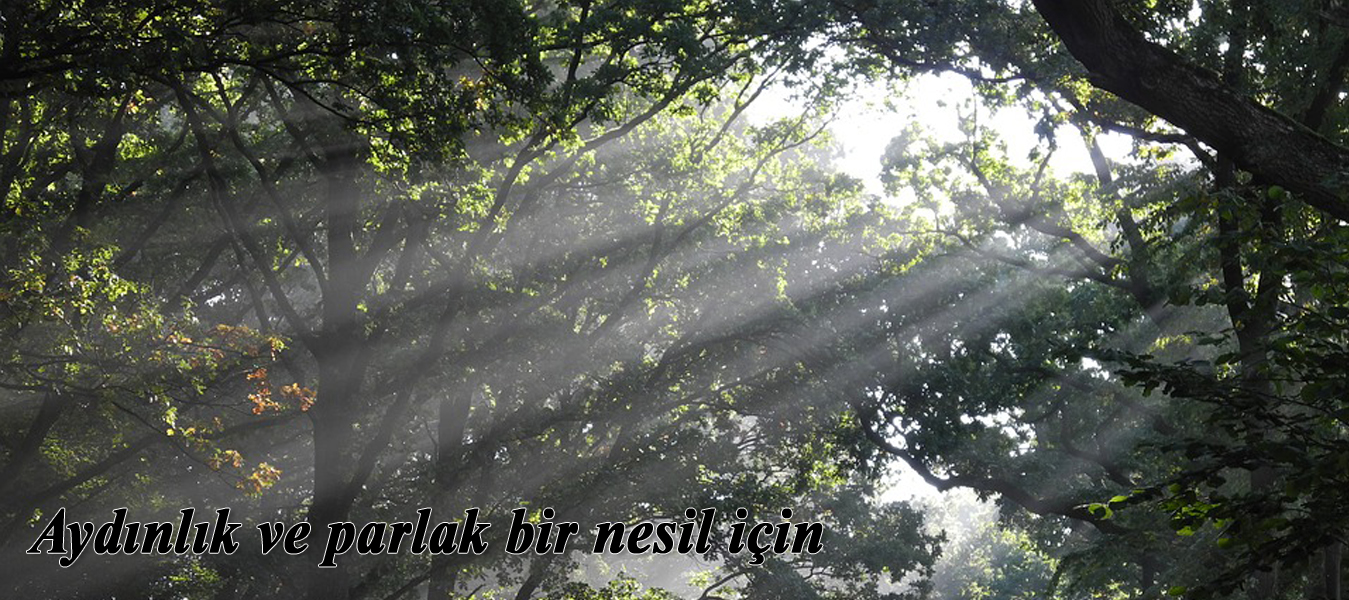 Slide Title